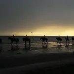 בית נופש Comfortable Albarella Island