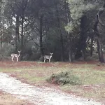Comfortable בית נופש *